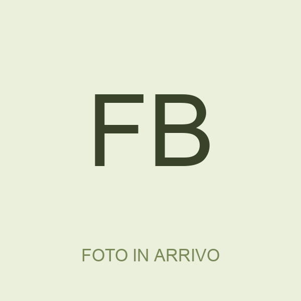 Federico Bertocchi