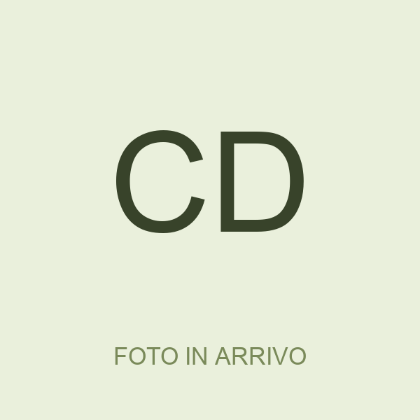 Costanza D’Ascanio