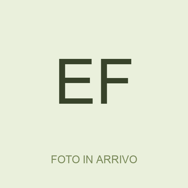 Elena Fabiani