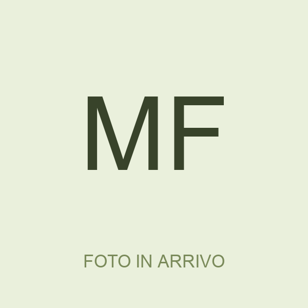 Matteo Fontana