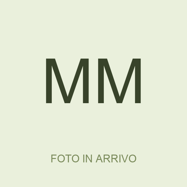 Martina Mazzoleni
